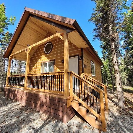 Denali Wild Stay - Redfox Cabin, Free Wifi, Private, Sleep 6 Хили Экстерьер фото