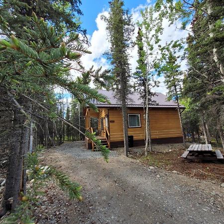 Denali Wild Stay - Redfox Cabin, Free Wifi, Private, Sleep 6 Хили Экстерьер фото