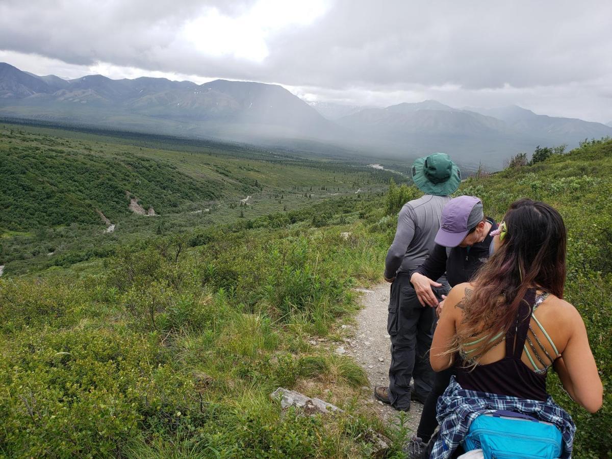 Denali Wild Stay - Redfox Cabin, Free Wifi, Private, Sleep 6 Хили Экстерьер фото