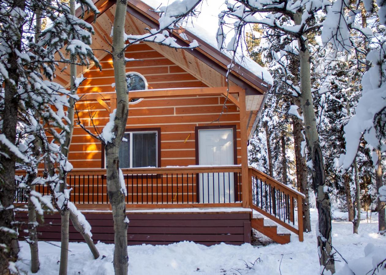 Denali Wild Stay - Redfox Cabin, Free Wifi, Private, Sleep 6 Хили Экстерьер фото
