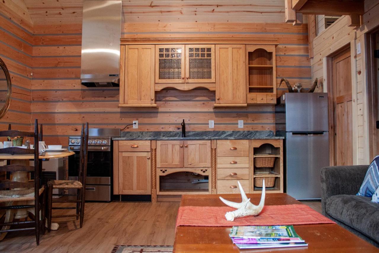 Denali Wild Stay - Redfox Cabin, Free Wifi, Private, Sleep 6 Хили Экстерьер фото