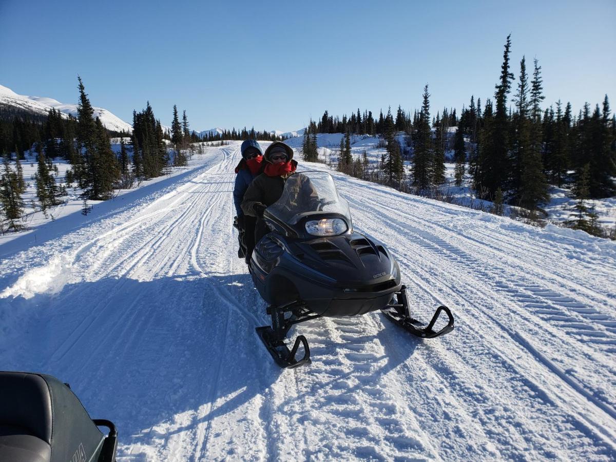 Denali Wild Stay - Redfox Cabin, Free Wifi, Private, Sleep 6 Хили Экстерьер фото