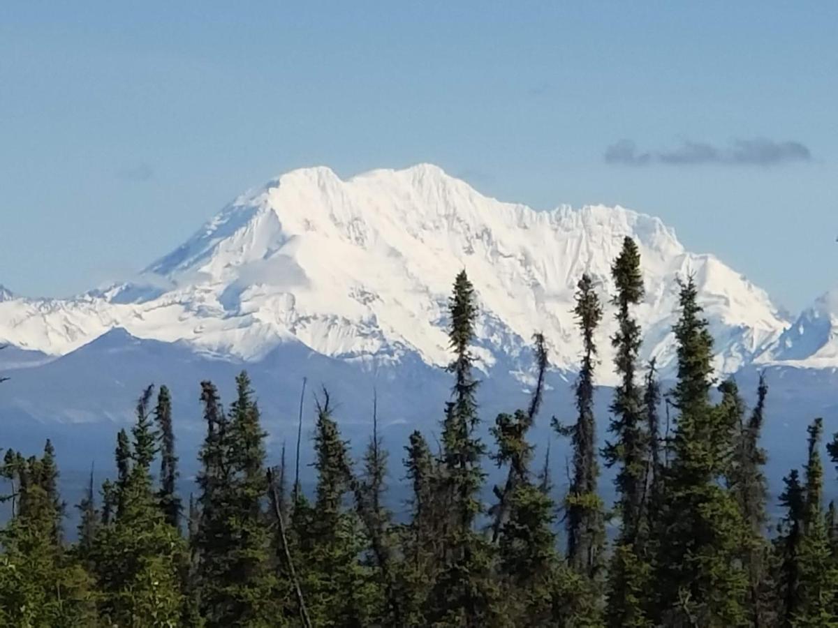 Denali Wild Stay - Redfox Cabin, Free Wifi, Private, Sleep 6 Хили Экстерьер фото