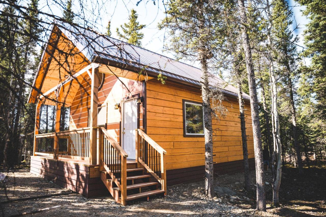 Denali Wild Stay - Redfox Cabin, Free Wifi, Private, Sleep 6 Хили Экстерьер фото