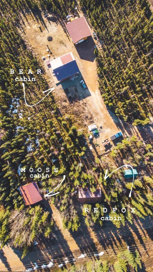 Denali Wild Stay - Redfox Cabin, Free Wifi, Private, Sleep 6 Хили Экстерьер фото