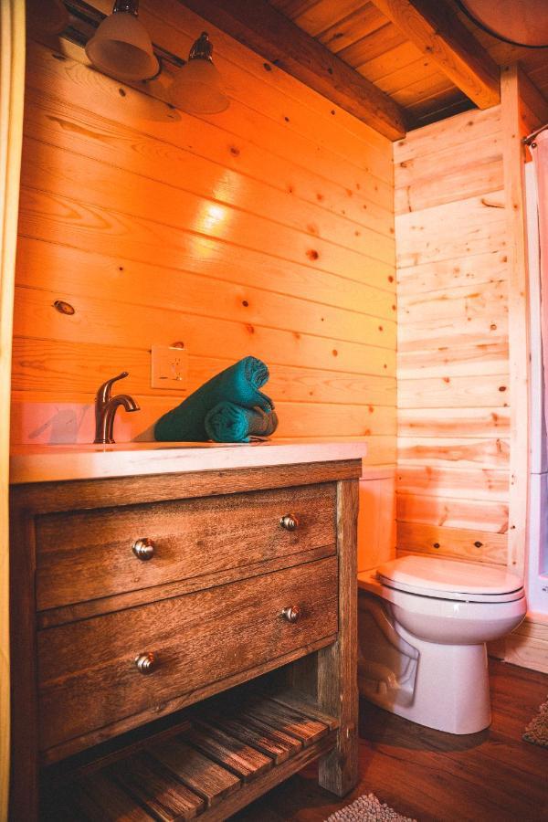 Denali Wild Stay - Redfox Cabin, Free Wifi, Private, Sleep 6 Хили Экстерьер фото