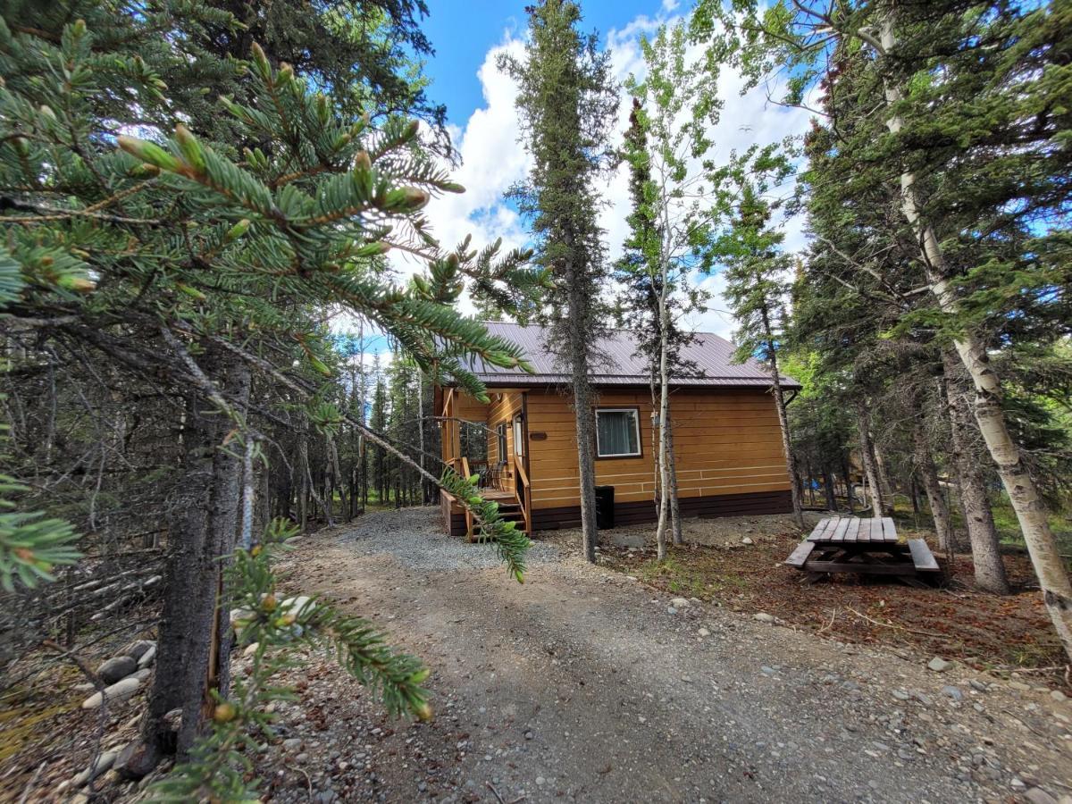 Denali Wild Stay - Redfox Cabin, Free Wifi, Private, Sleep 6 Хили Экстерьер фото